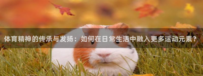 千亿国际官网下载招商电话号码查询是多少：体育精神的传