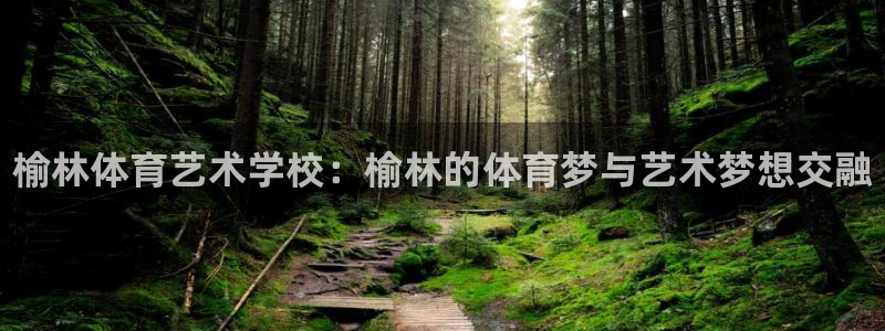 千亿国际官网下载娱乐：榆林体育艺术学校：榆林的体育梦