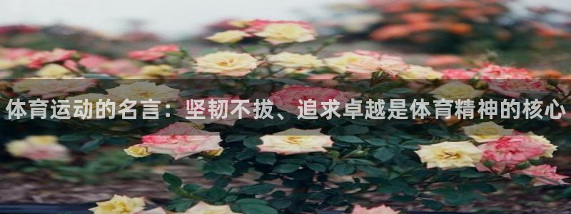 千亿国际官方集团官网：体育运动的名言：坚韧不拔、追求