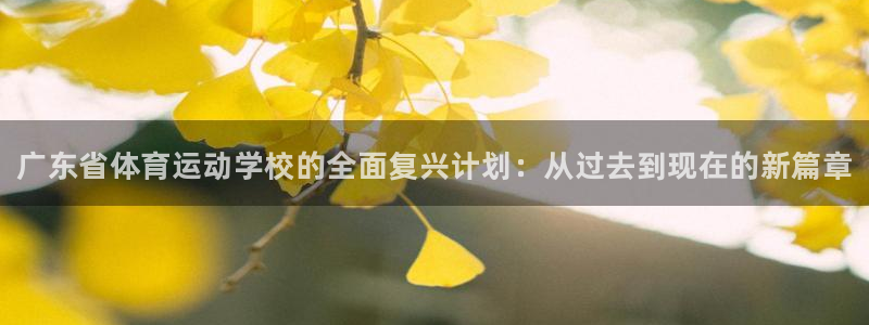 千亿国际官方正版app娱乐首页官网下载：广东省体育运