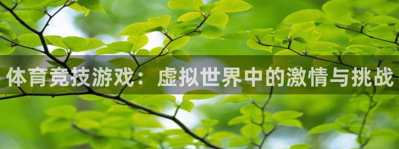 德国千亿国际官方正版app集团：体育竞技游戏：虚拟世