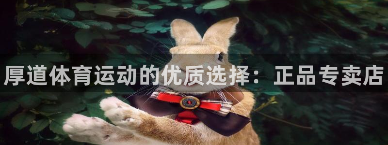 千亿国际官网下载平台：厚道体育运动的优质选择：正品专