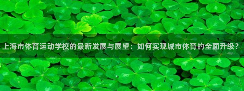 千亿国际官方正版app娱乐40996：上海市体育运动