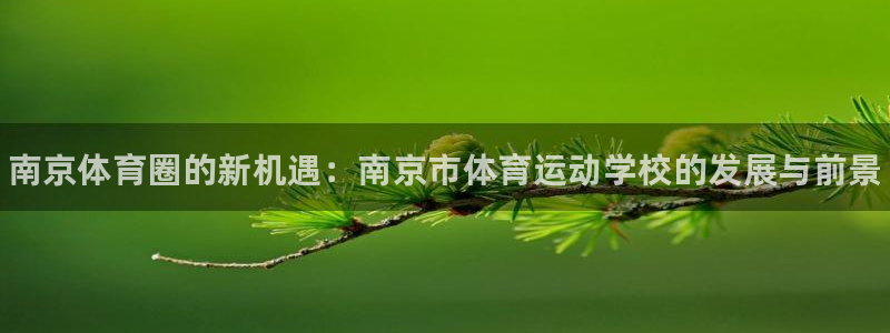 千亿国际官网下载联系电话：南京体育圈的新机遇：南京市