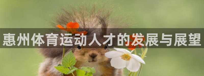 千亿国际官网下载官方客服电话