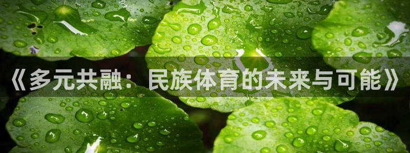德国千亿国际官方正版app集团
