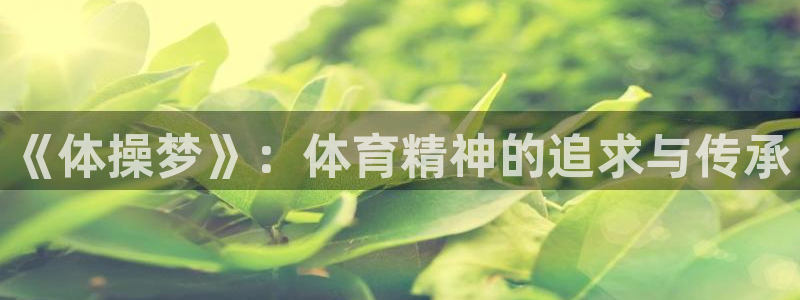 千亿国际官网下载招商电话是多少号码：《体操梦》：体育精神的追