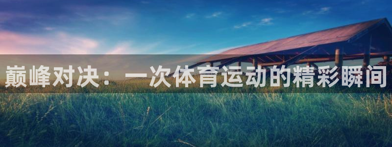 千亿国际官方正版app新能源：巅峰对决：一次体育运动