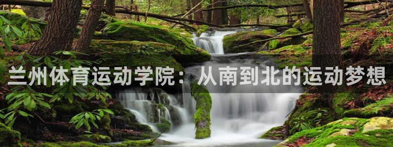 德国千亿国际官方正版app集团