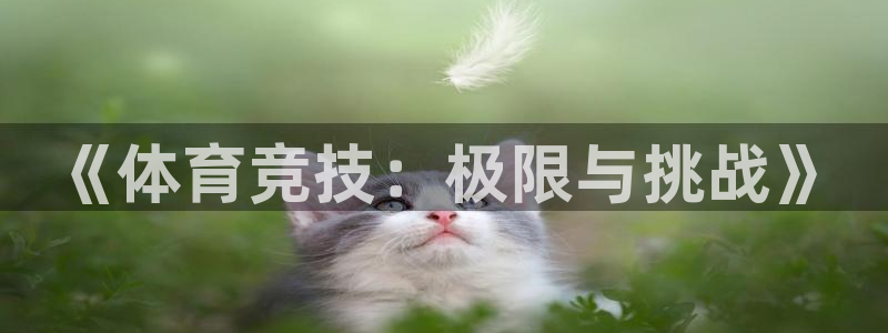 千亿国际官方正版app代理：《体育竞技：极限与挑战》