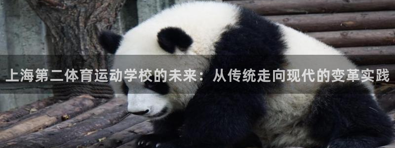 千亿国际官网下载招商电话是多少啊