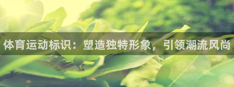 千亿国际官方正版app集团官网网址:体育运动标识:塑造独特形