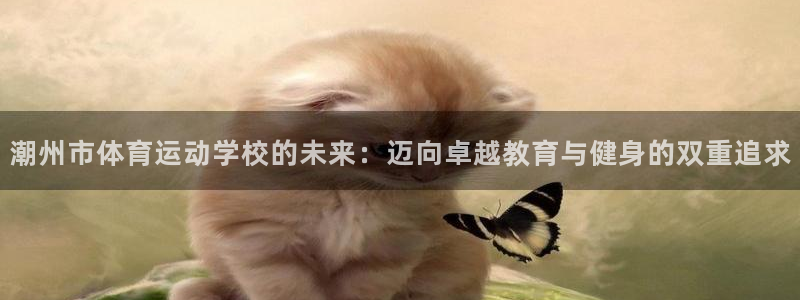 千亿集团是干什么的企业：潮州市体育运