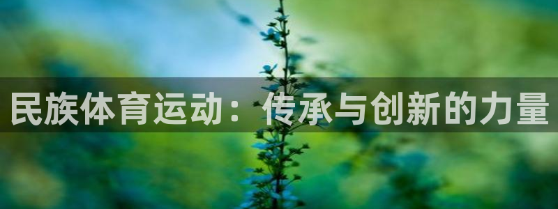 qy866千亿国际：民族体育运动：传