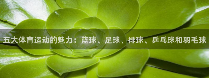 千亿集团是干什么的呢：五大体育运动的