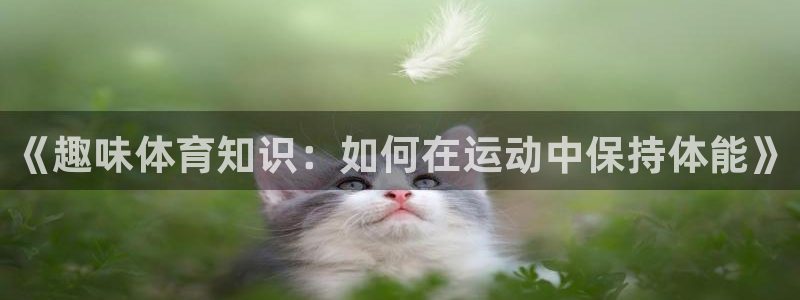 千亿棋牌qy711链接那个有：《趣味