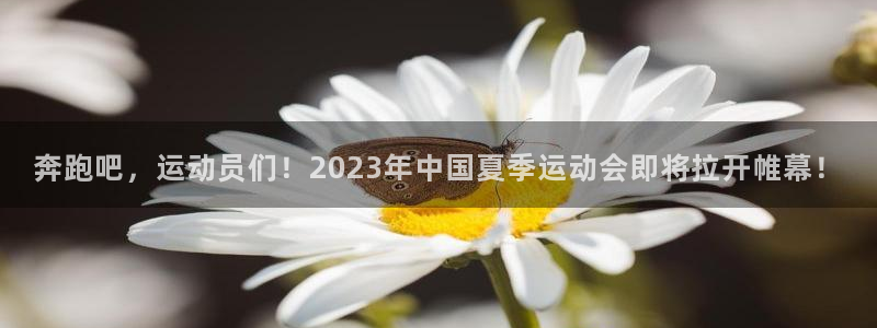 千亿棋牌怎么样：奔跑吧，运动员们！2