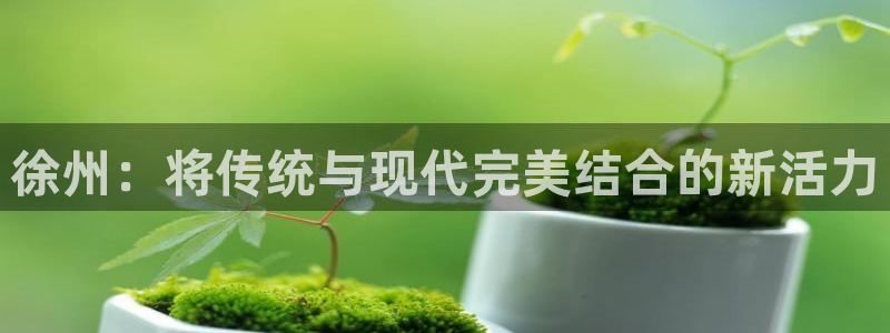 千亿集团最高总裁：徐州：将传统与现代