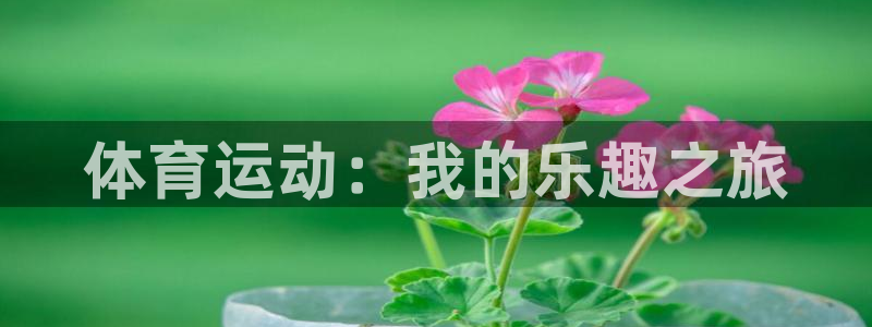 千亿游戏平台是什么：体育运动：我的乐