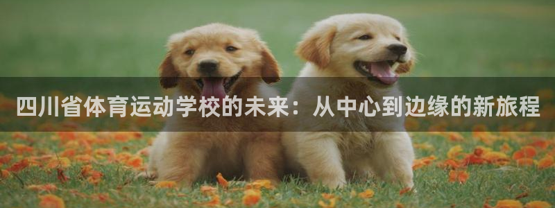 千亿国际qy888：四川省体育运动学