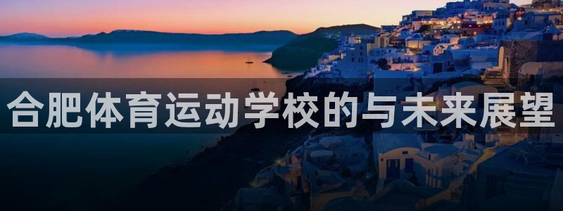 千亿国际qy88vip下载：合肥体育