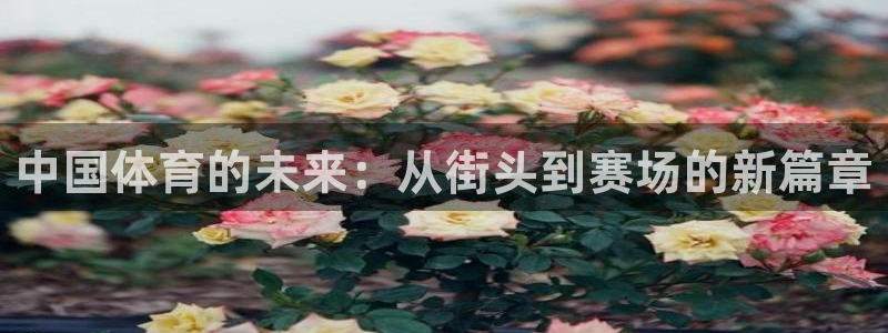 千亿游戏平台有哪些：中国体育的未来：